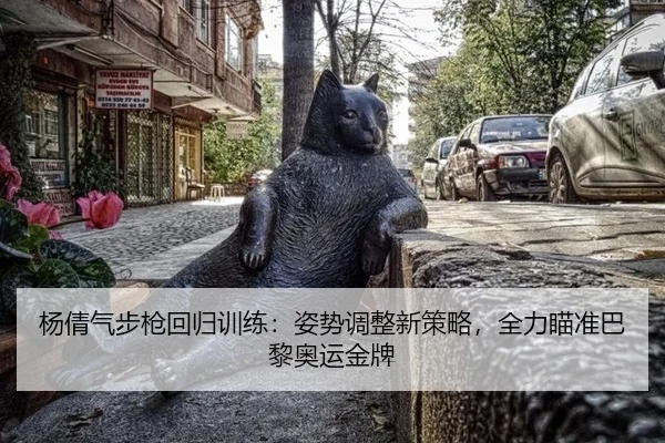 杨倩气步枪回归训练：姿势调整新策略，全力瞄准巴黎奥运金牌
