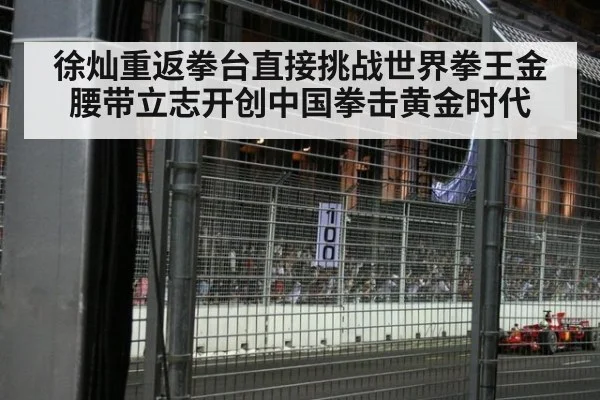 徐灿重返拳台直接挑战世界拳王金腰带立志开创中国拳击黄金时代